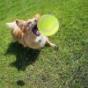 Outdoor Pet Tennis Ball for Small Dogs